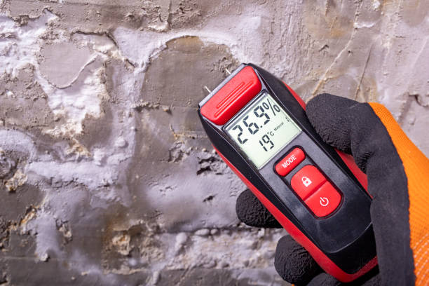 Best Toxic Mold Removal  in Baywood, NY