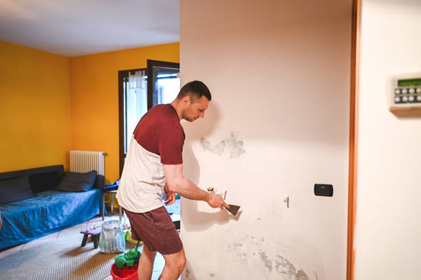 Best Mold Remediation  in Baywood, NY